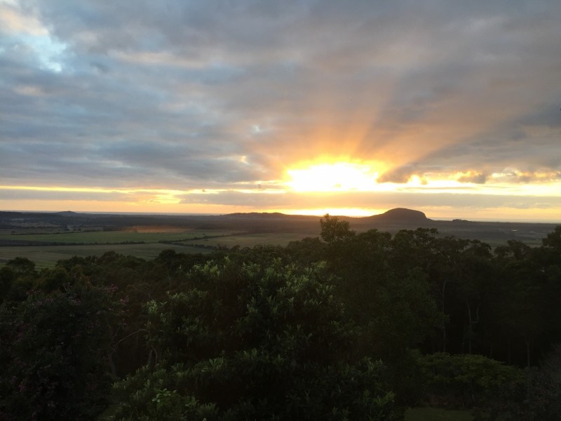 12 Caladenia Court, Maroochy River QLD 4561