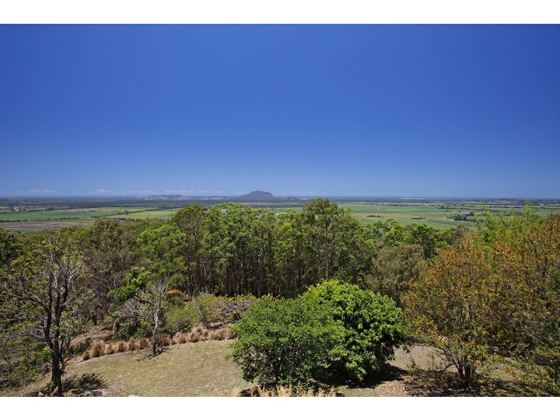12 Caladenia Court, Maroochy River QLD 4561
