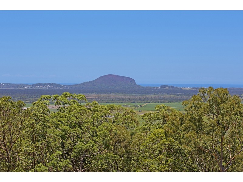 12 Caladenia Court, Maroochy River QLD 4561