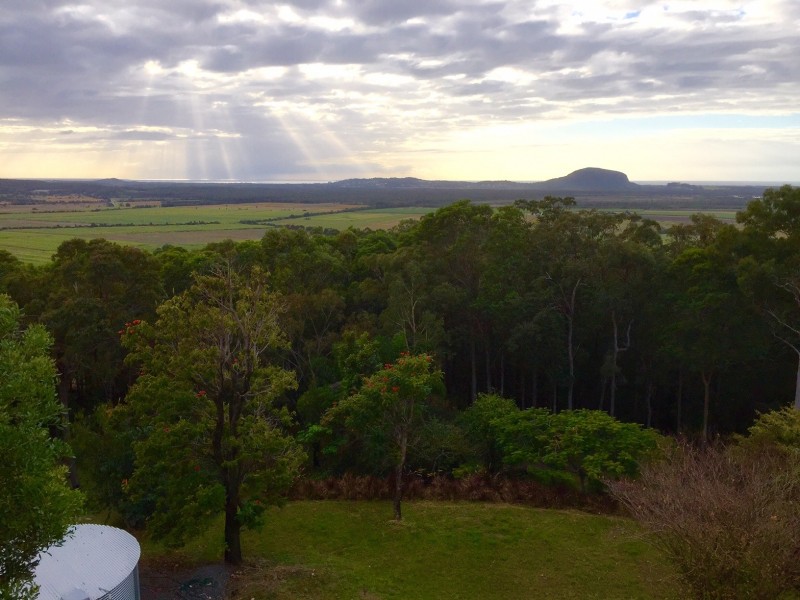 12 Caladenia Court, Maroochy River QLD 4561