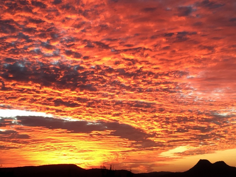 53 Honeydew Place, Ninderry QLD 4561