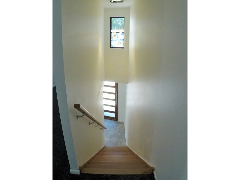 13 Round Bush Crescent, Maroochydore QLD 4558