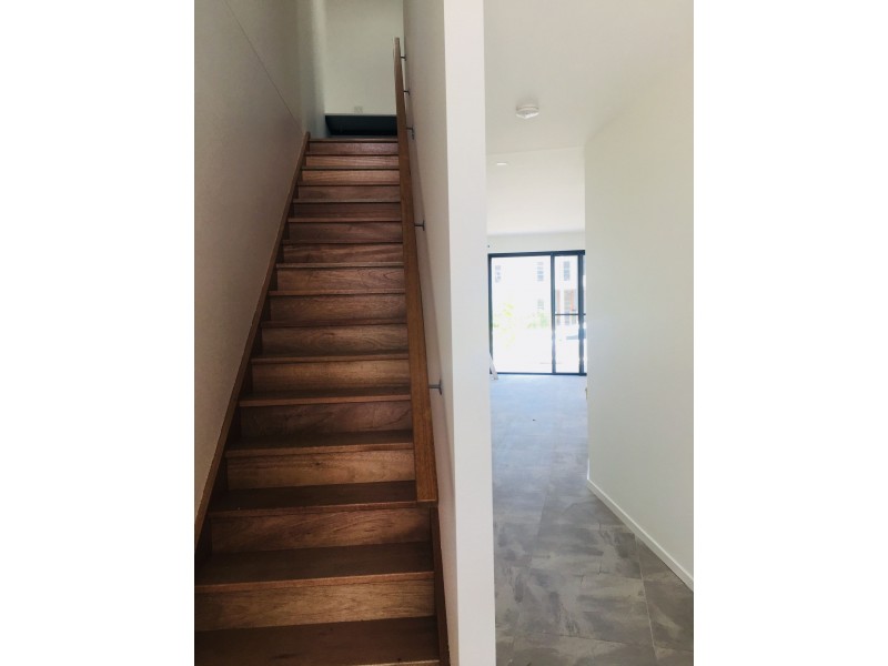 13 Round Bush Crescent, Maroochydore QLD 4558