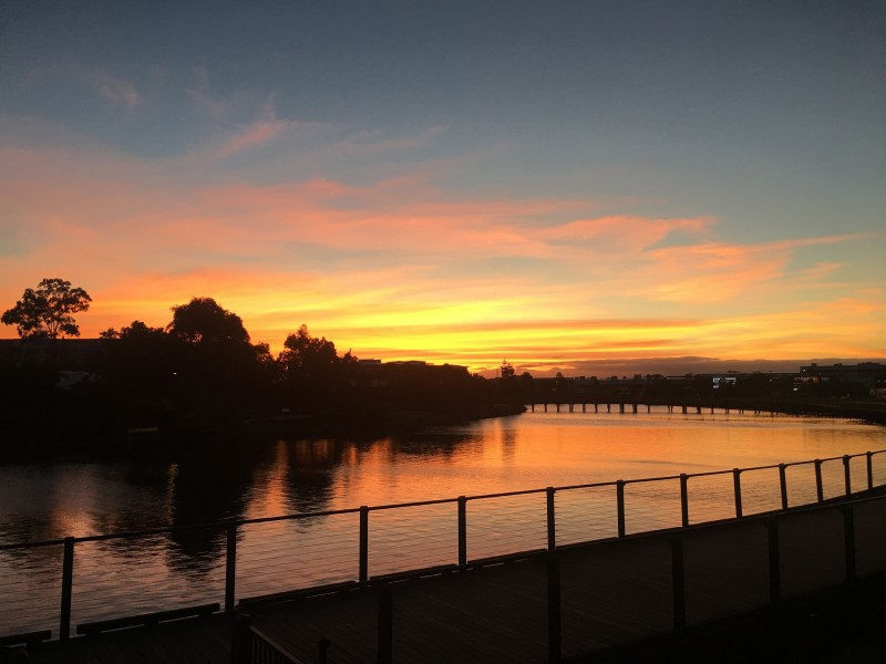 13 Round Bush Crescent, Maroochydore QLD 4558