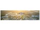 57 Mackenzie Drive, Maroochydore QLD 4558