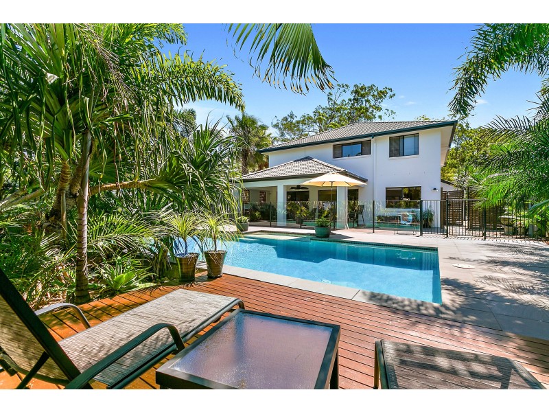 3 Thomson Place, Peregian Springs QLD 4573
