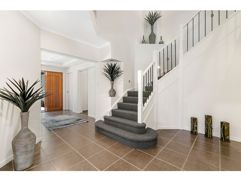 3 Thomson Place, Peregian Springs QLD 4573