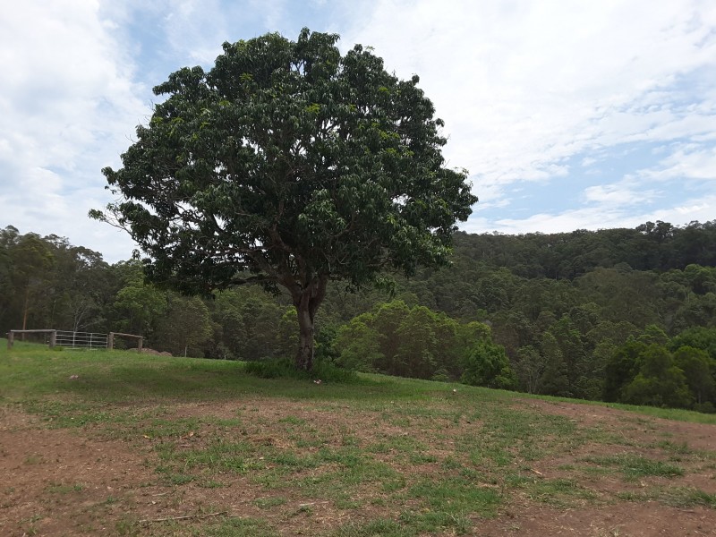 Valdora QLD 4561