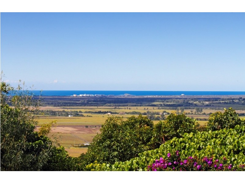 6 Caladenia Court, Maroochy River QLD 4561