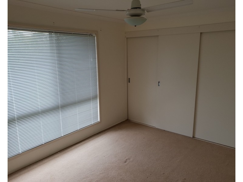 36 Mawarra Street, Buddina QLD 4575