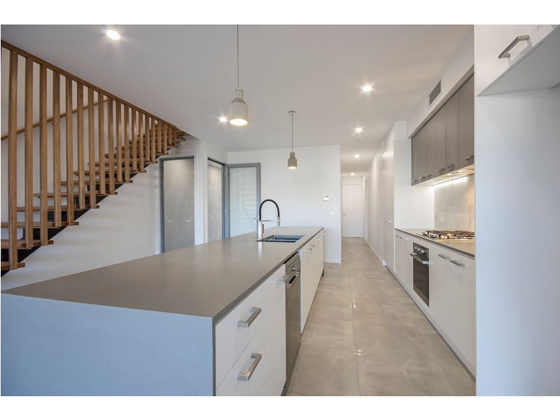 3 Osborne Circuit, Maroochydore QLD 4558