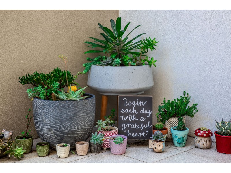 2003/132 Osborne Road, Mitchelton QLD 4053