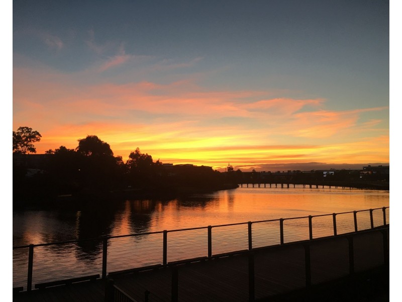 2/11 Sunrise Drive, Maroochydore QLD 4558