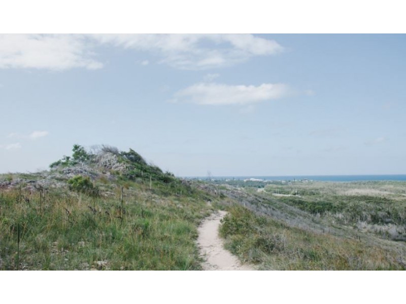 131 Havana Road West, Peregian Springs QLD 4573