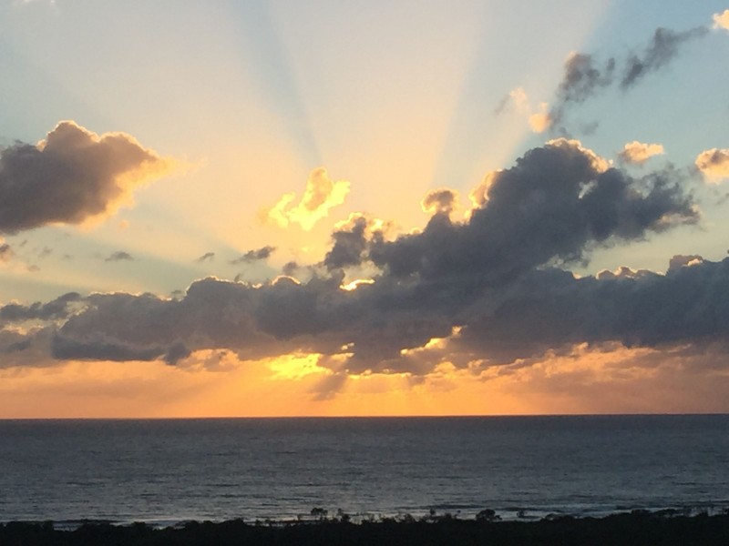 131 Havana Road West, Peregian Springs QLD 4573