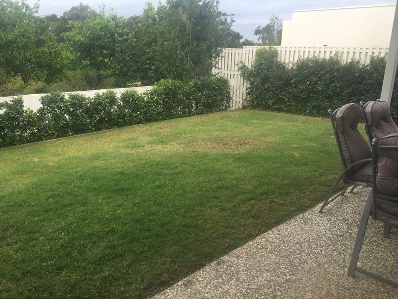 42 Pavilion Drive, Peregian Springs QLD 4573