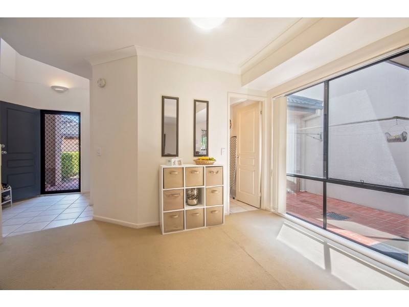 31/2 Springhill Drive, Sippy Downs QLD 4556