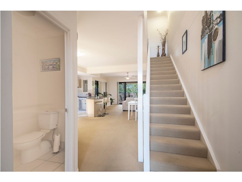 31/2 Springhill Drive, Sippy Downs QLD 4556