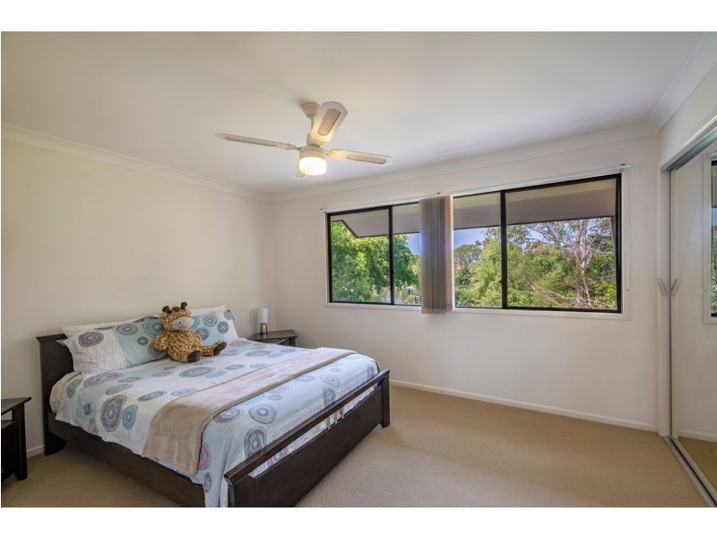 31/2 Springhill Drive, Sippy Downs QLD 4556