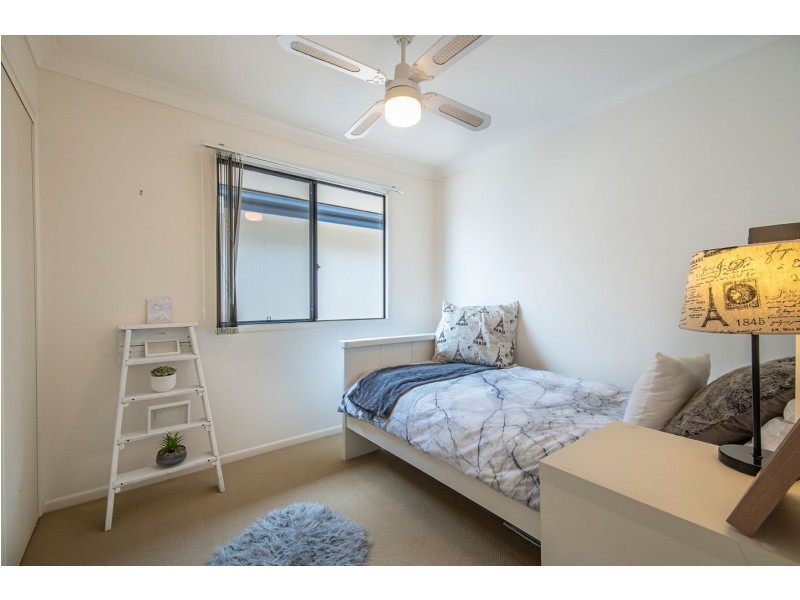 31/2 Springhill Drive, Sippy Downs QLD 4556