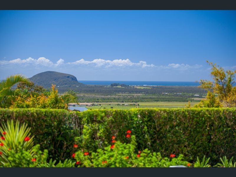 17 Caree Court, Maroochy River QLD 4561