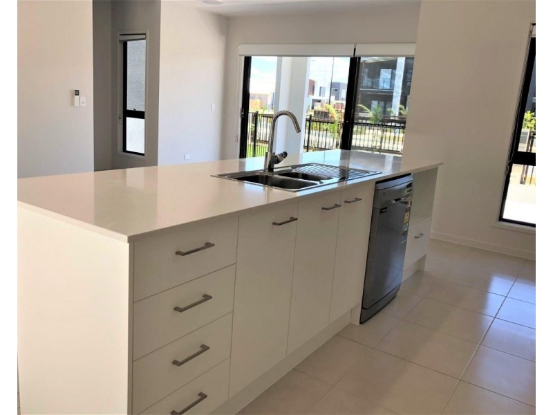 55 Prosperity Drive, Birtinya QLD 4575