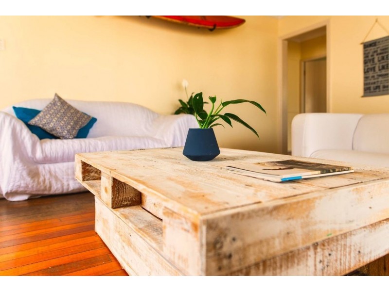 8 William Street, Alexandra Headland QLD 4572