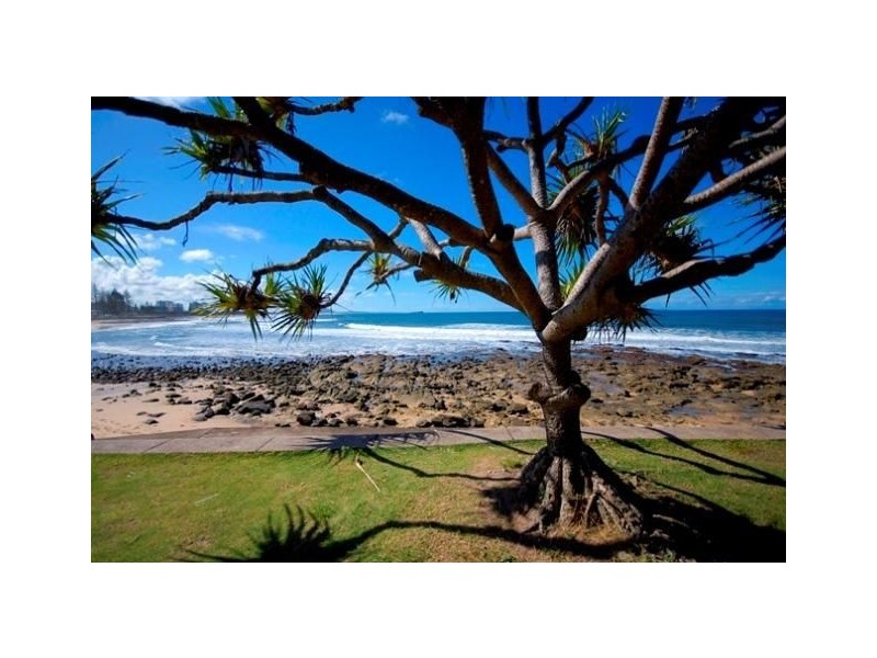 8 William Street, Alexandra Headland QLD 4572