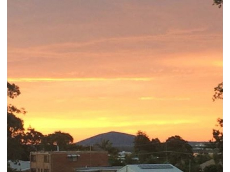 13 The Grove, Alexandra Headland QLD 4572