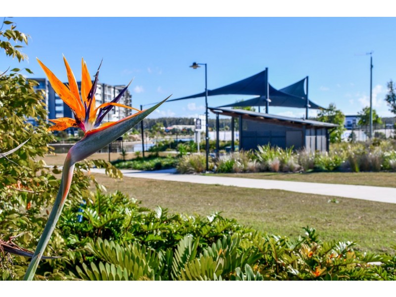 26 Prosperity Drive, Birtinya QLD 4575