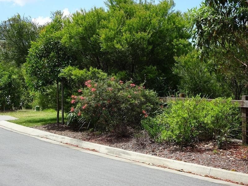 21 Wedgetail Court, Valdora QLD 4561