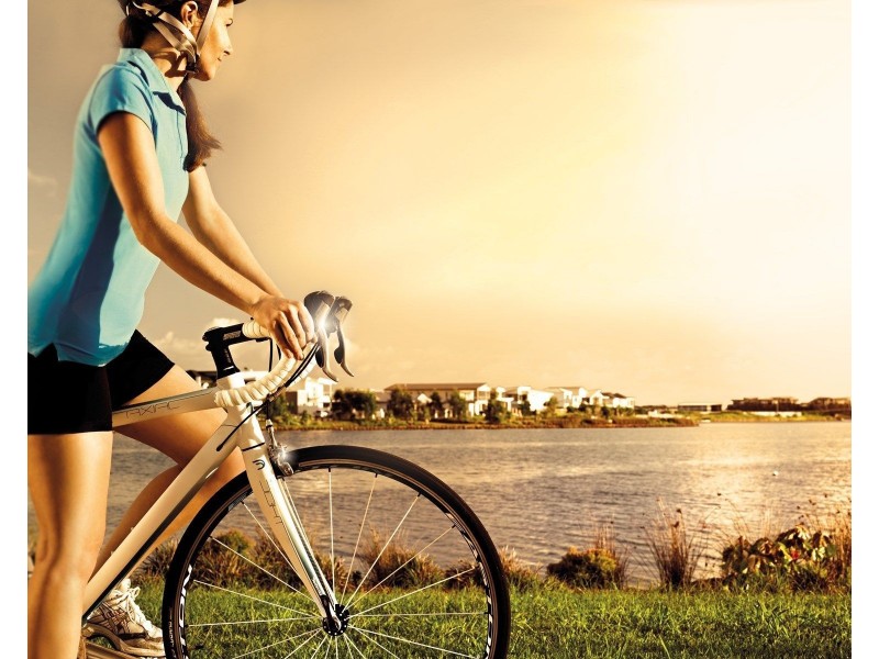 52 Viridian Circuit, Birtinya QLD 4575