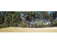 27 Finch Terrace, Peregian Springs QLD 4573