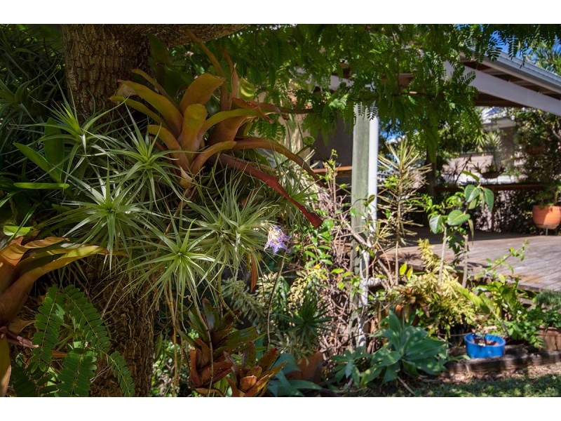 7 Willis Road, Bli Bli QLD 4560