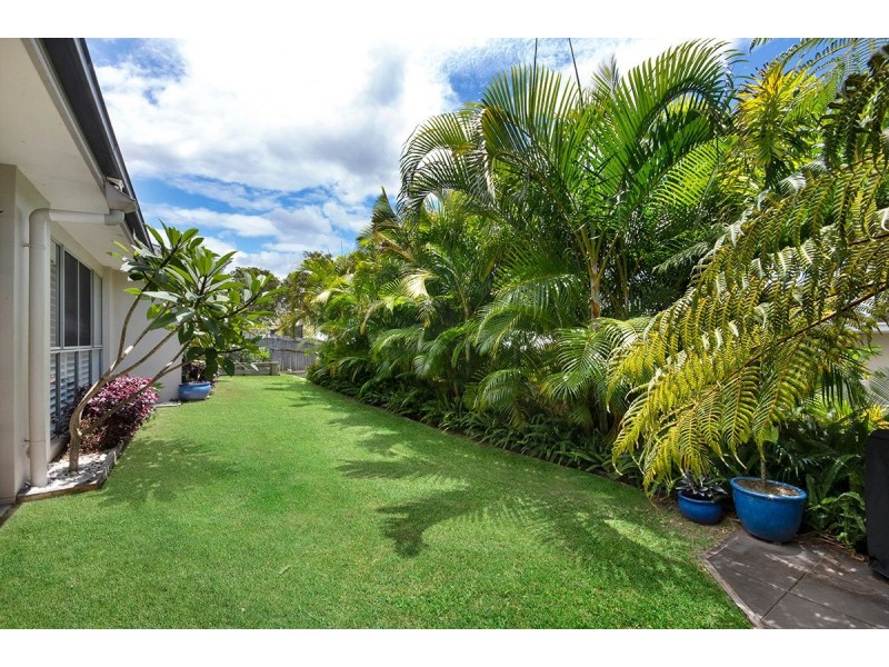 165 The Avenue, Peregian Springs QLD 4573