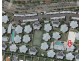 Room 4 – 118/8 Varsityview Court, Sippy Downs QLD 4556