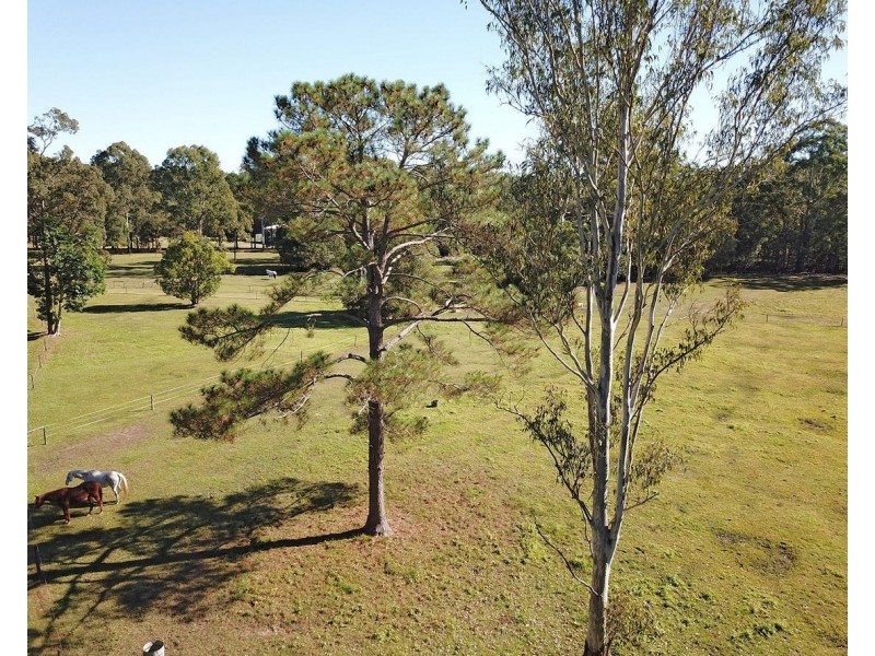 44 Tunnel Ridge Road, Landsborough QLD 4550