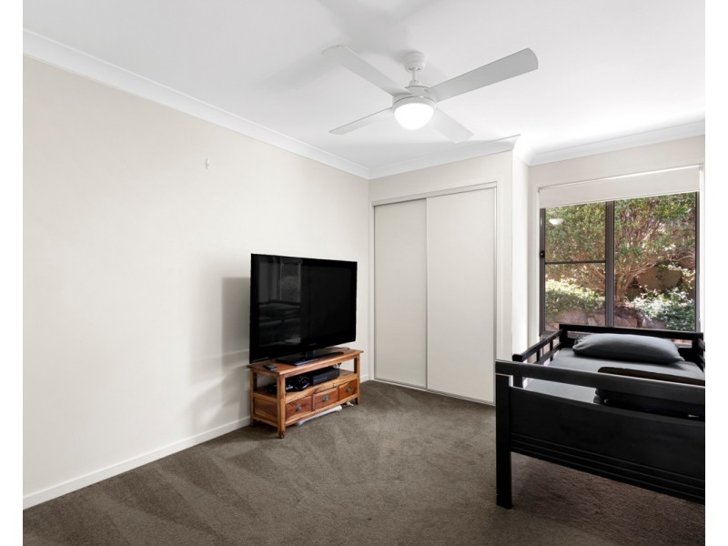 1 Cordwood Drive, Cooroy QLD 4563