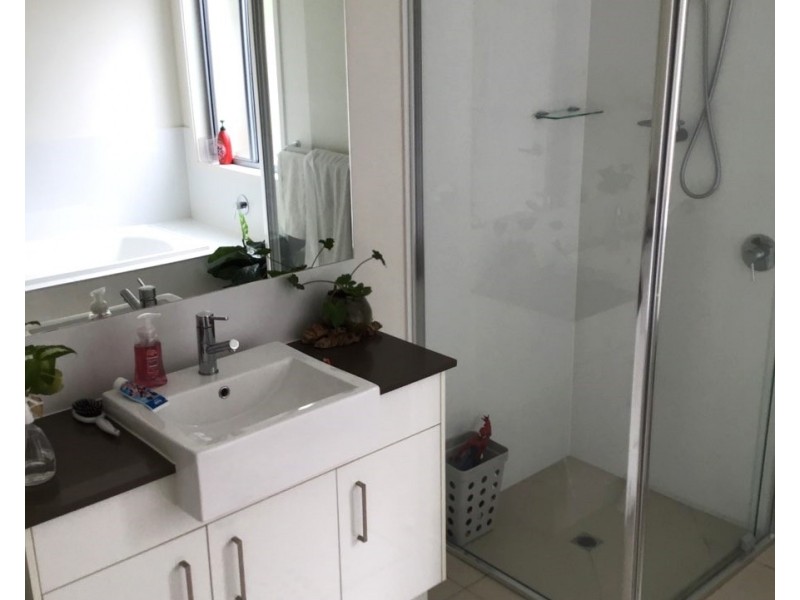 10 Silver Gull Cresent, Peregian Springs QLD 4573