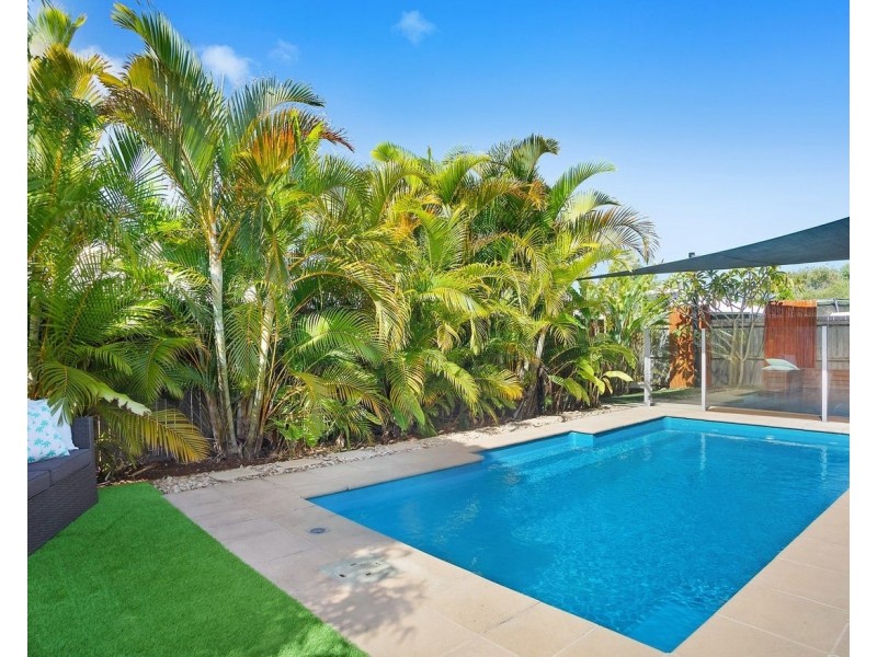 43 Sweetlip Circuit, Mountain Creek QLD 4557