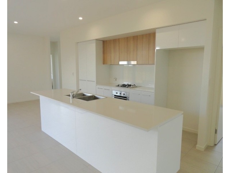 14 Petrel Crescent, Mountain Creek QLD 4557