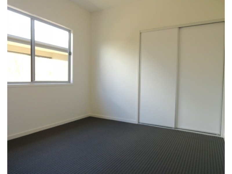 14 Petrel Crescent, Mountain Creek QLD 4557