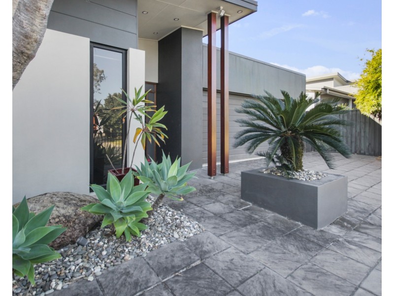19 Ponytail Circuit, Mountain Creek QLD 4557