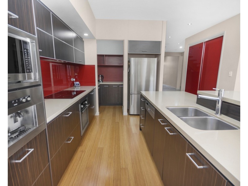 19 Ponytail Circuit, Mountain Creek QLD 4557