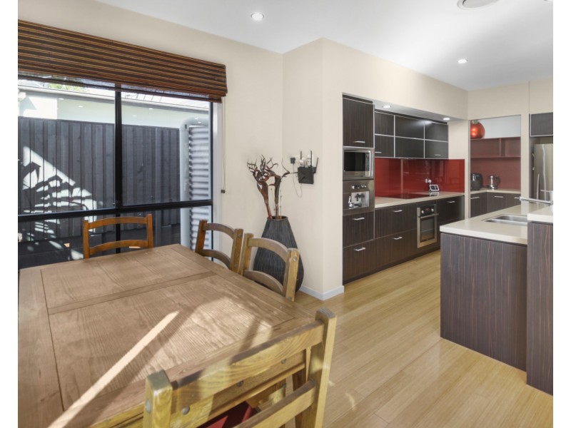 19 Ponytail Circuit, Mountain Creek QLD 4557
