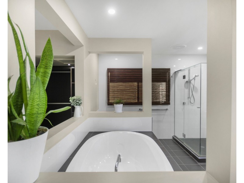 19 Ponytail Circuit, Mountain Creek QLD 4557
