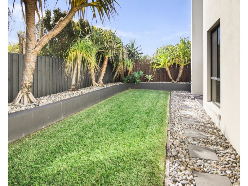 19 Ponytail Circuit, Mountain Creek QLD 4557