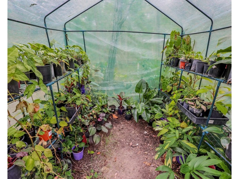 81 Fitzroy Crescent, Agnes Water QLD 4677