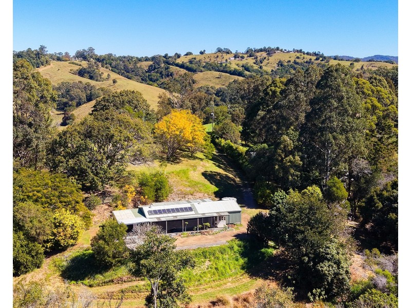31 Crows Ash Lane, Black Mountain QLD 4563