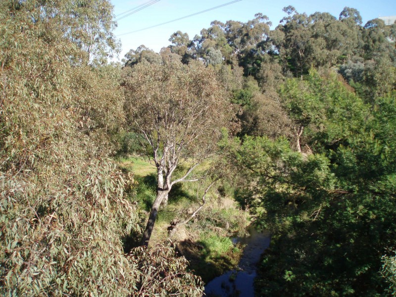 87 Spectrum Way, Coburg North VIC 3058